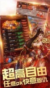 传世单机非联网手机版图1