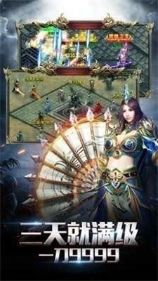 传奇冰雪打金服安卓版图2