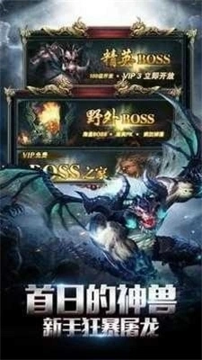 传奇冰雪打金服安卓版图1