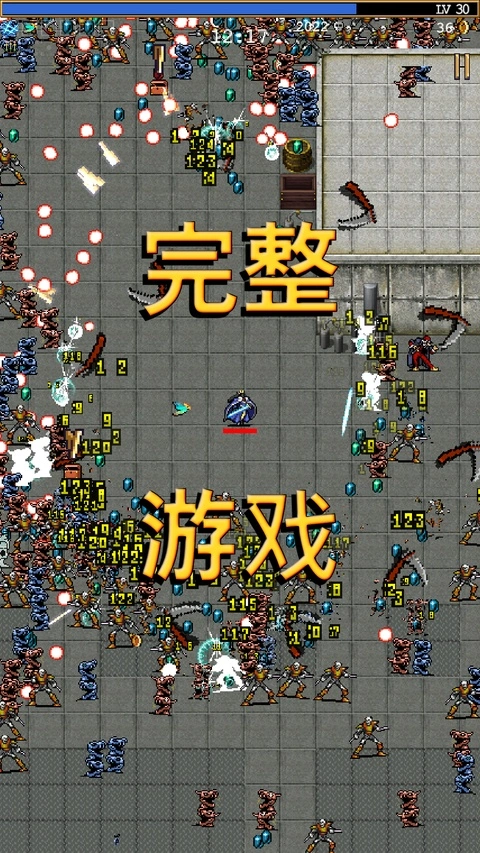 吸血鬼幸存者官方版图2