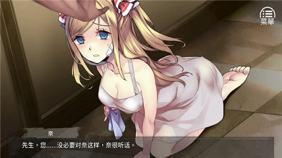 奈的调教日记图2